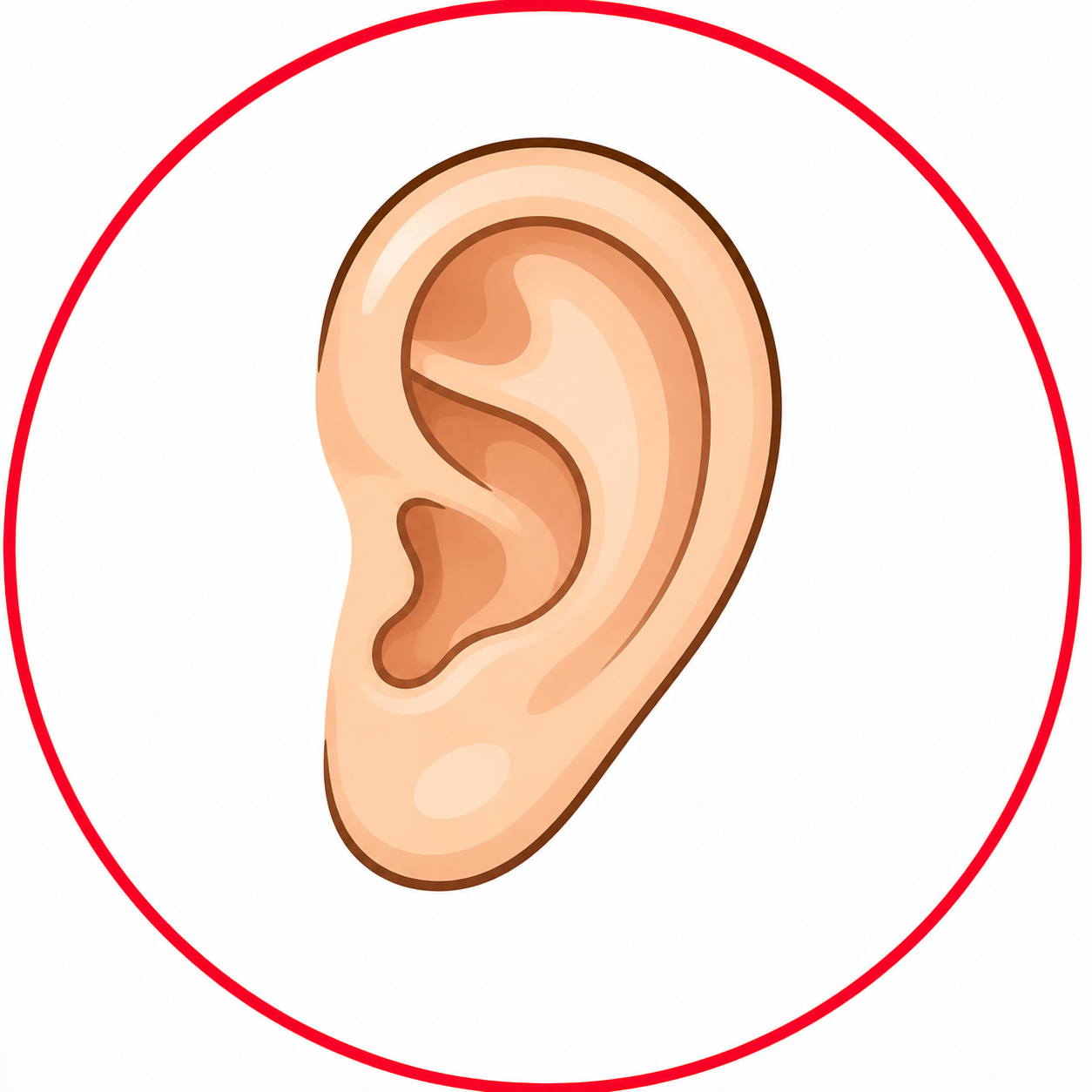 Ear